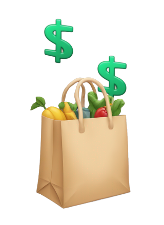 Shopping Bag Icon